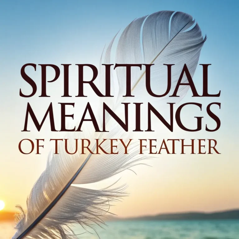 16 Spiritual Meanings of Turkey Feather: Hidden Symbolism